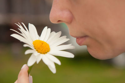 Close-up of woman hand holding white flower