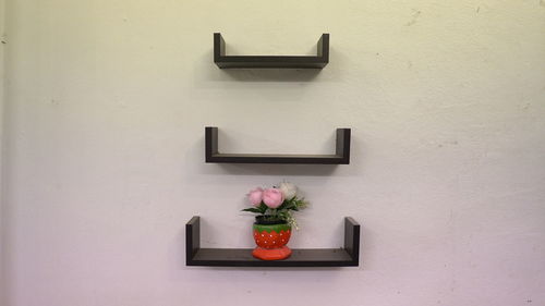 Close-up of potted plant on white wall