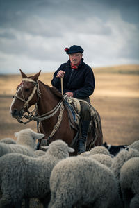 Man riding horse cart against sky