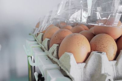 Close-up of eggs in container