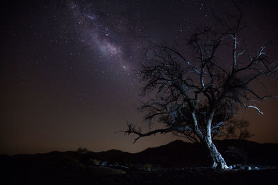 Low angle view of silhouette tree against sky at night