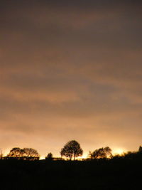 Silhouette trees against sky during sunset