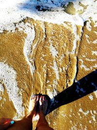 Low section of woman standing at beach