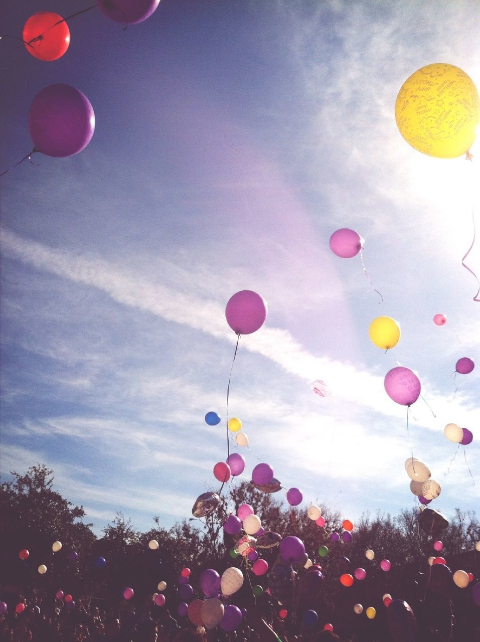 balloon, multi colored, sky, low angle view, celebration, cloud - sky, mid-air, decoration, hot air balloon, pink color, colorful, lighting equipment, outdoors, nature, variation, hanging, tree, red, circle, traditional festival