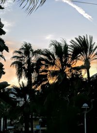 Silhouette palm trees against sky during sunset