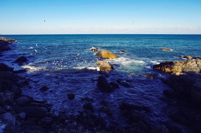 Scenic view of sea against clear sky