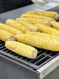 Close-up of corn