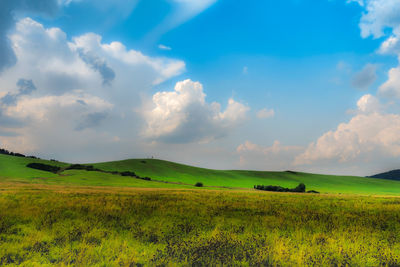 Scenic view of field against sky