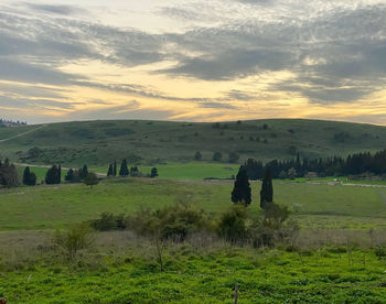 Scenic view of field against sky during sunset