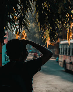 Rear view of silhouette man standing by tree