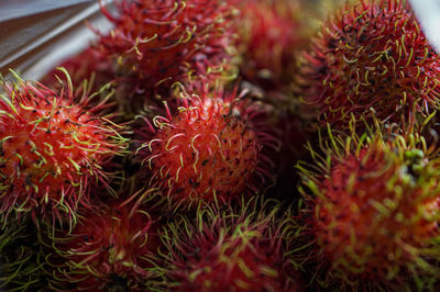 High angle view of red chili peppers for sale
