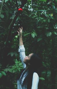 Woman reaching for red fruit hanging from tree