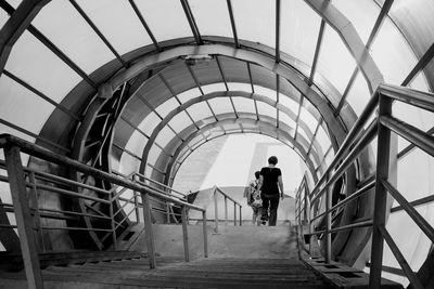 Rear view of women moving down on steps