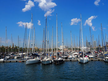 Sailboats in marina