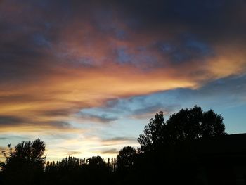 Low angle view of silhouette trees against sky during sunset