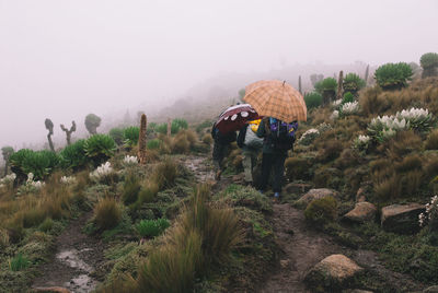 Rear view of people with umbrella walking on mountain against sky