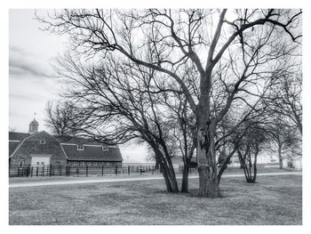 Bare trees by house against sky