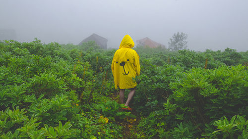 Rear view of man in raincoat standing amidst plants on field