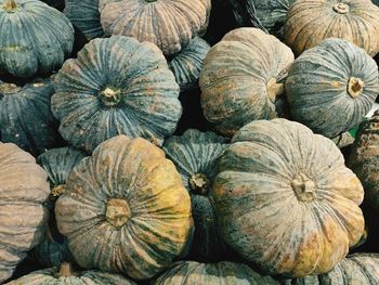 Full frame shot of pumpkins