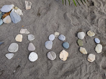 High angle view of shells on sand
