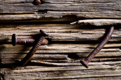 Close-up of wooden plank