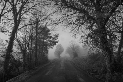 Road amidst bare trees against sky