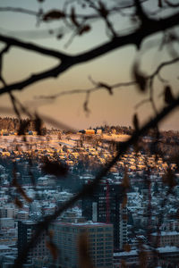 Low angle view of tree