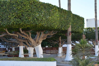 Close-up of built structure against trees