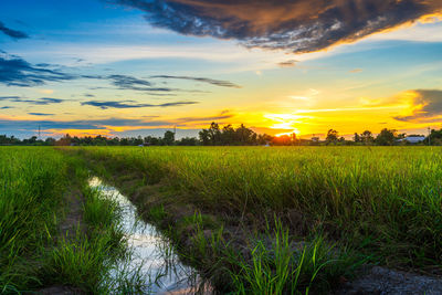 Scenic view of field against sky during sunset