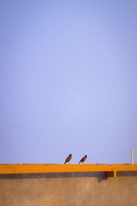 Low angle view of birds perching on the sky