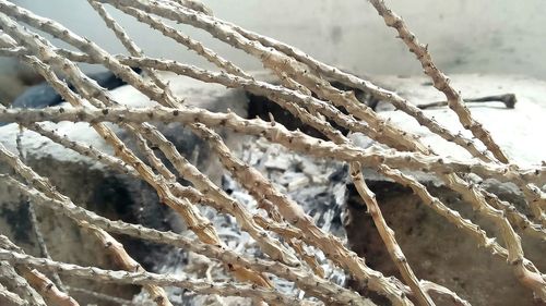 Close-up of rope tied up