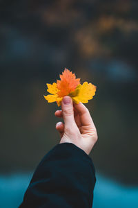 Person holding leaves against blurred background in autumn 