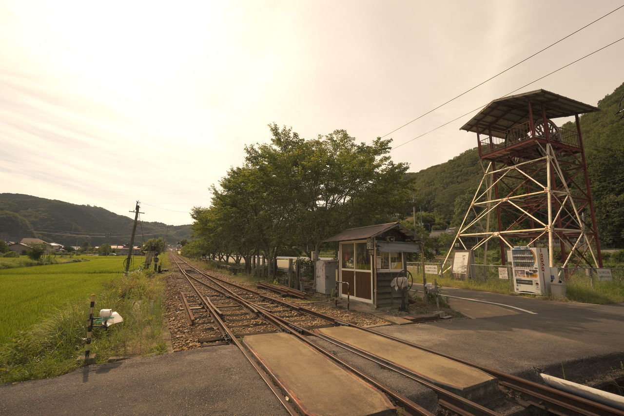 RAILROAD TRACKS BY TREES AGAINST SKY