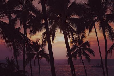 Silhouette palm trees by sea against sky at sunset