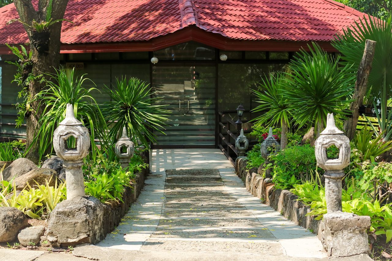 plant, nature, architecture, no people, day, footpath, growth, built structure, green color, tree, direction, outdoors, the way forward, beauty in nature, tranquility, in a row, building, solid, building exterior, sunlight