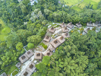 High angle view of huts amidst trees