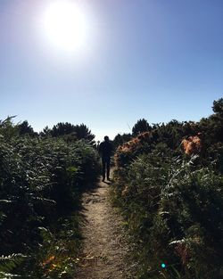 Panoramic view of people walking on landscape against clear sky