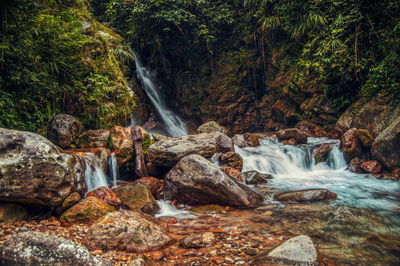 Scenic view of waterfall in forest