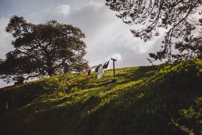 Low angle view of trees on field against sky