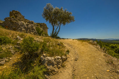 Scenic view of landscape against clear sky