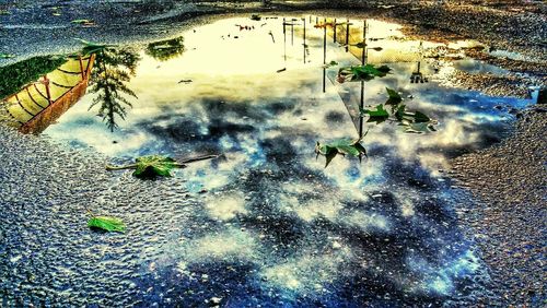 Leaves floating on water