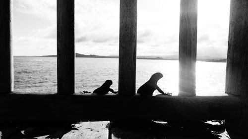 Silhouette of birds perching by sea against sky