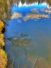 High angle view of reflection of plants in lake