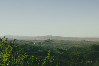 Scenic view of landscape against clear sky