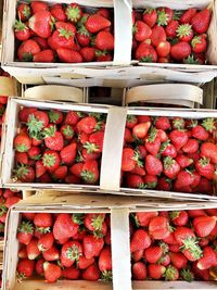 Full frame shot of strawberries in boxes for sale at market stall