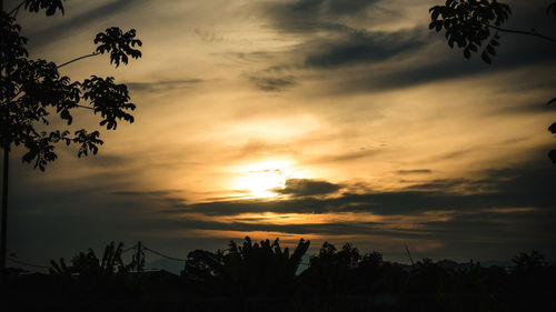 Low angle view of silhouette trees against sky during sunset