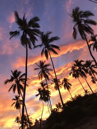 Low angle view of silhouette palm trees against romantic sky