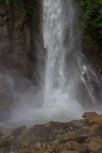 Scenic view of waterfall in forest