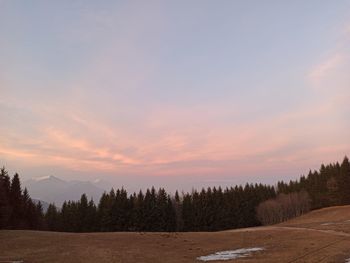 Scenic view of trees against sky during sunset