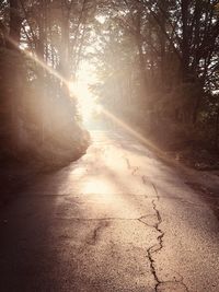 Road amidst trees